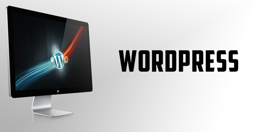 WordPress Developers