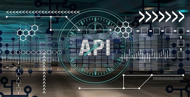 What is an API Integration?