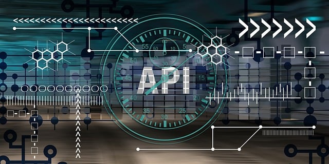 What is an API Integration?